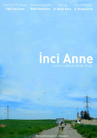 İnci Anne / Film Posteri (2019)